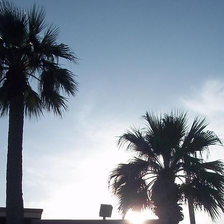 Whispering Palms Inn Дель-Ріо Екстер'єр фото