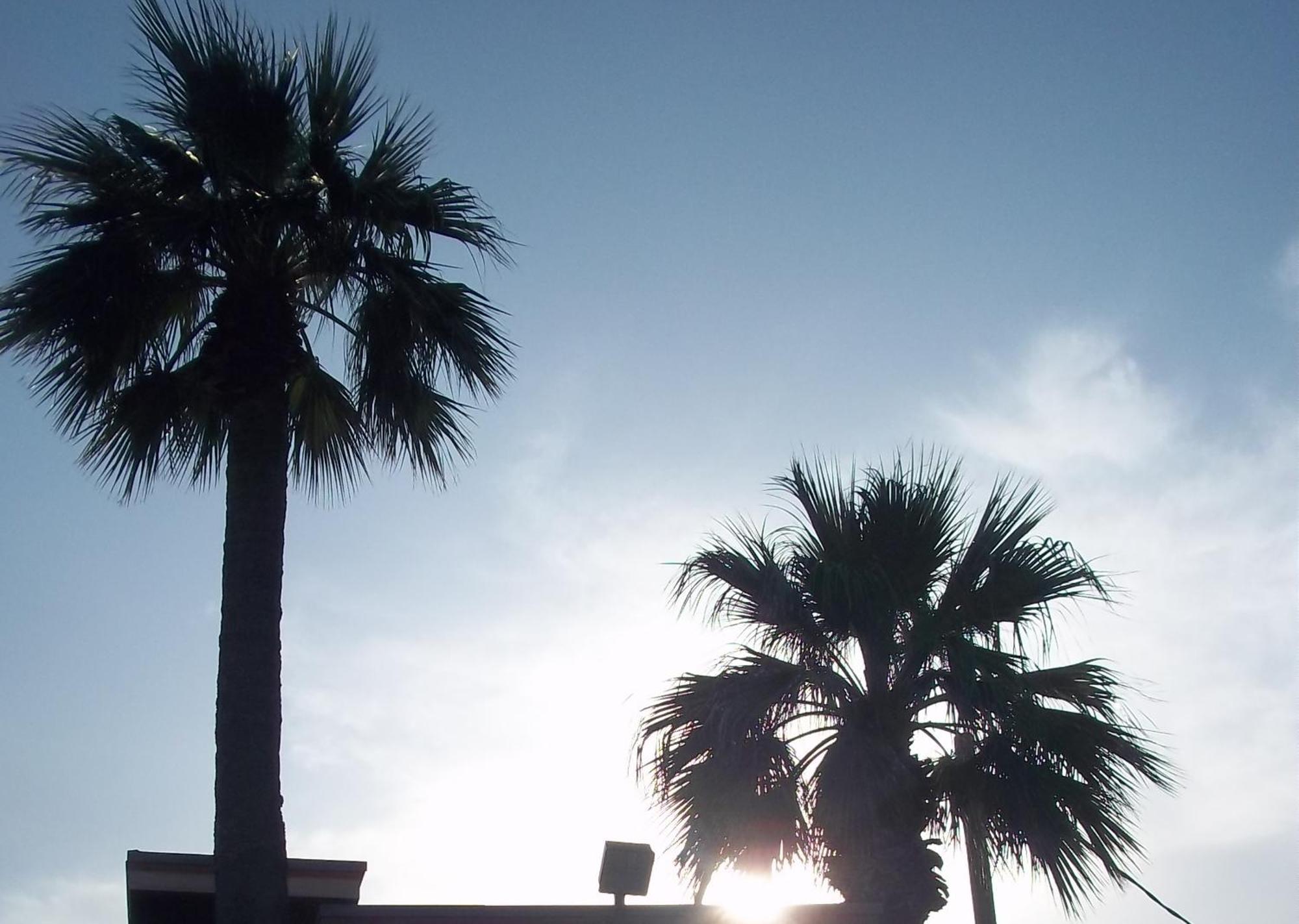 Whispering Palms Inn Дель-Ріо Екстер'єр фото
